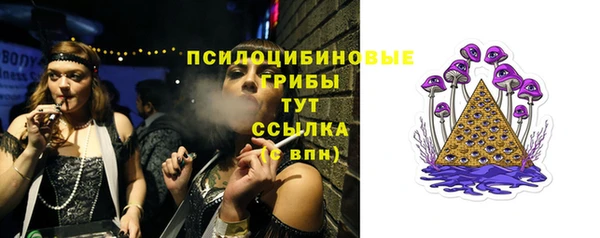 apvp Белоозёрский